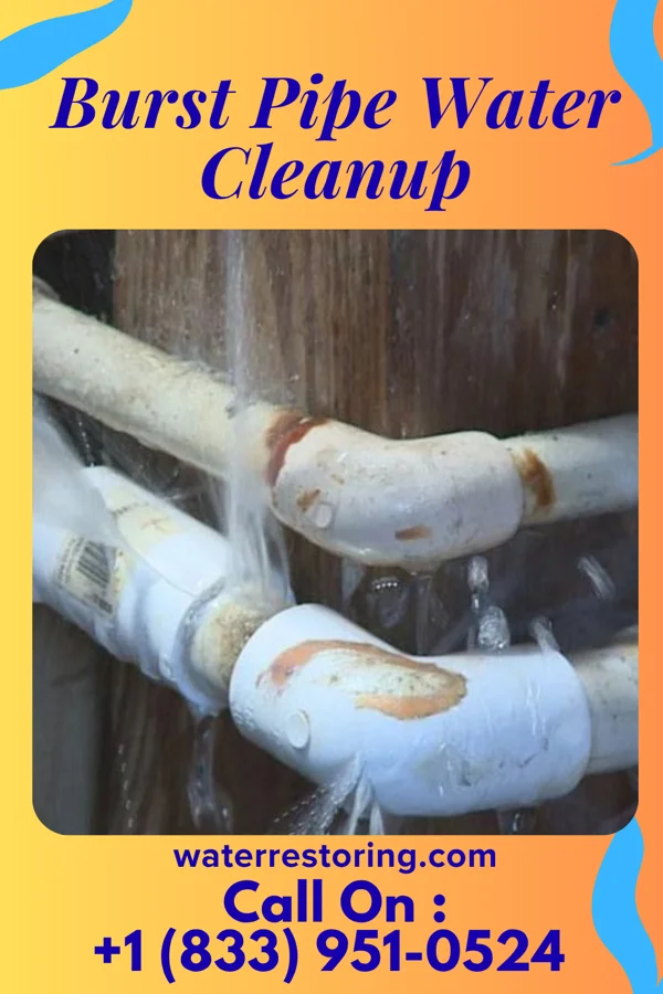 Burst Pipe Water Cleanup in Plumville, PA