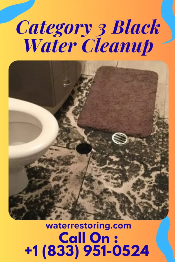 Category 3 Black Water Cleanup in Plumville, PA