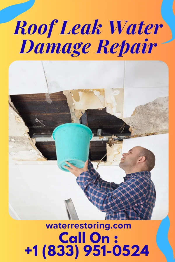 Roof Leak Water Damage Repair in Plumville, PA