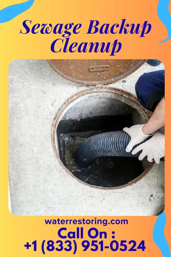 Sewage Backup Cleanup in Plumville, PA