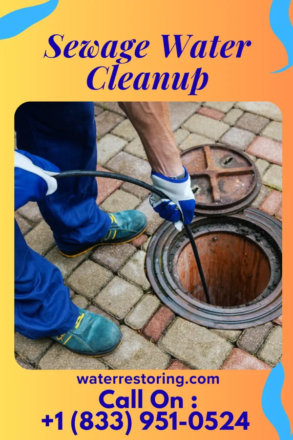 Sewage Water Cleanup in Plumville, PA